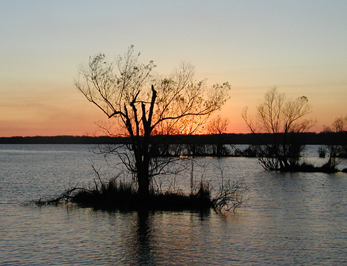 Atchafalaya swamp basin, Lousisiana