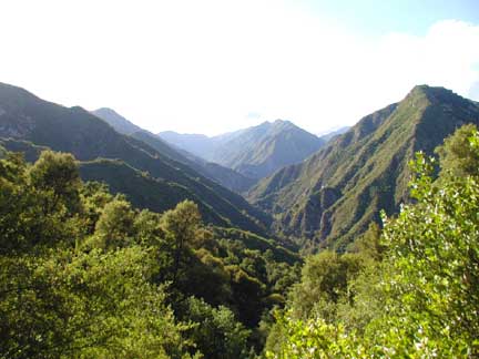 Ventana Wildnerness, California